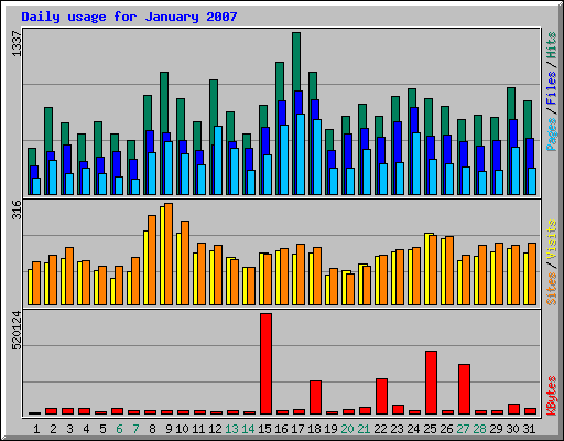 Daily usage for January 2007