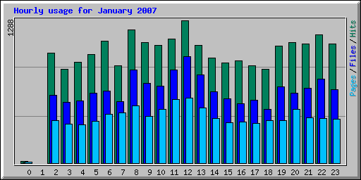 Hourly usage for January 2007