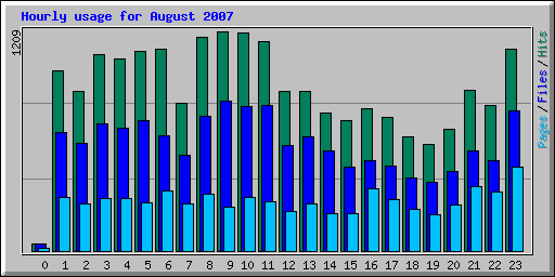 Hourly usage for August 2007